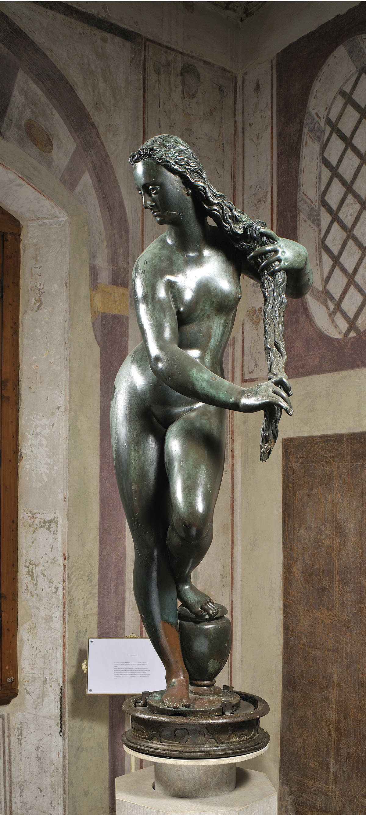 Venus Anadyomene